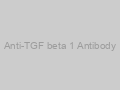 Anti-TGF beta 1 Antibody